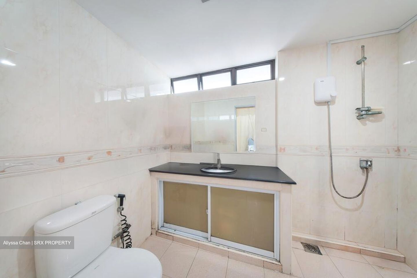 Jalan Besar Plaza (D8), Apartment #555489071